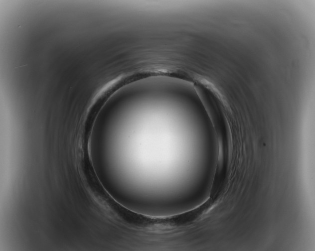 X0000086260536200704051304
