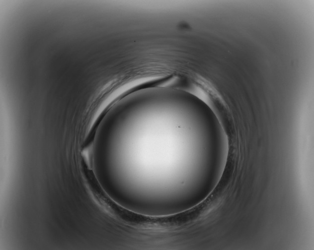 X0000086260538200704051304