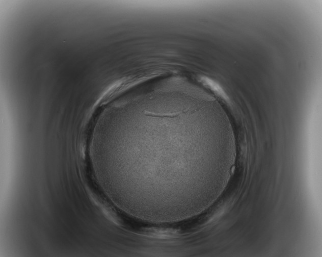 X0000086260539200704051304