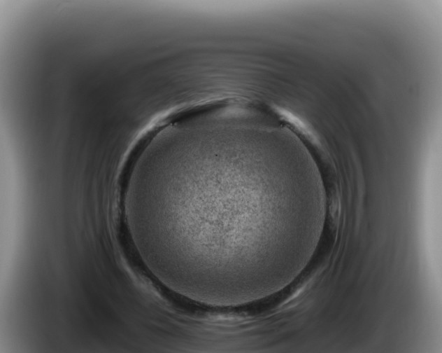 X0000086260540200704051304