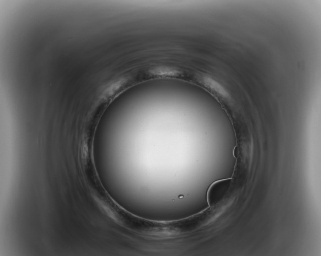 X0000086260541200704051304