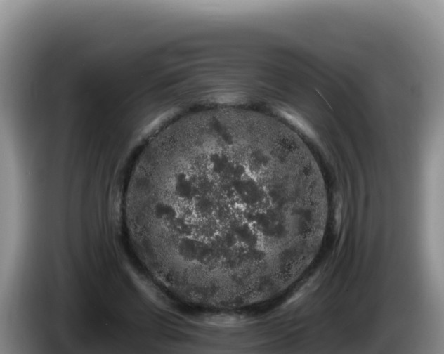 X0000086260542200704051304