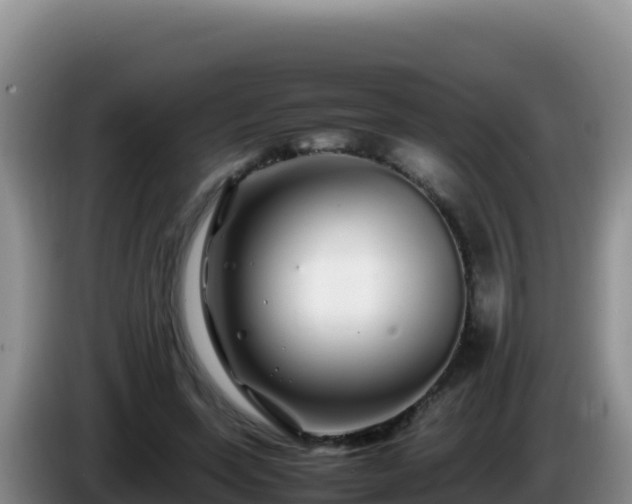 X0000086260543200704051304