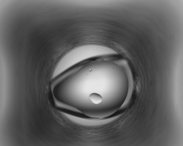 X0000086260546200704051305