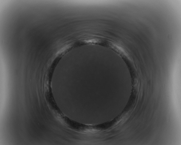 X0000086260547200704051305