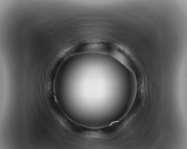 X0000086260548200704051305