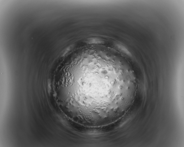 X0000086260549200704051305