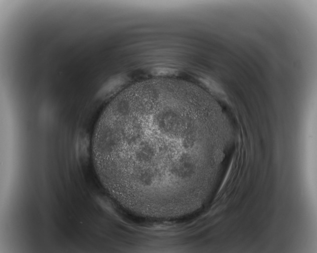 X0000086260550200704051305