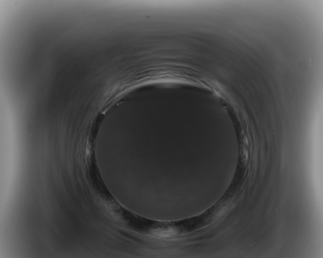 X0000086260551200704051305
