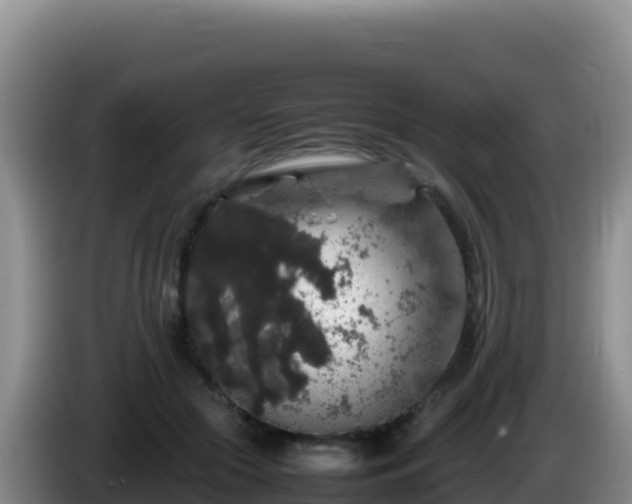 X0000086260553200704051305