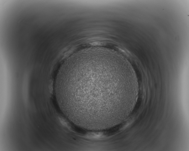 X0000086260554200704051305