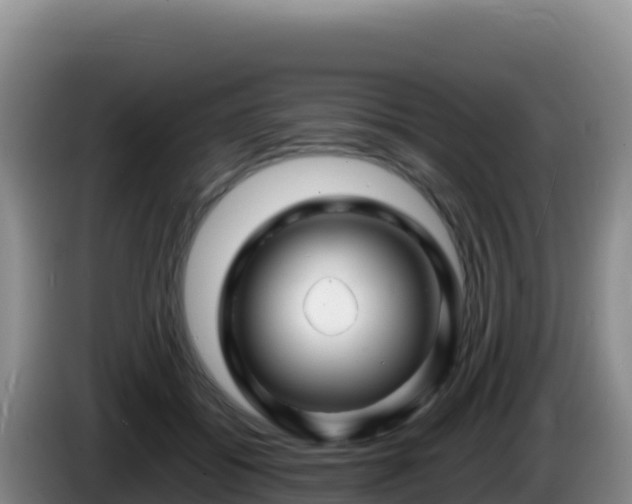 X0000086260556200704051305