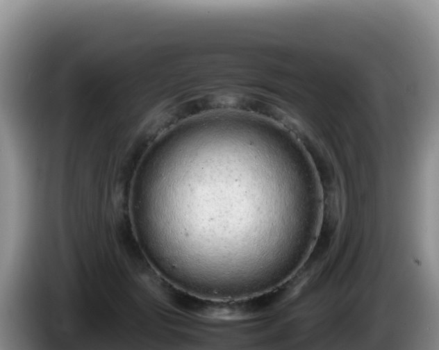 X0000086260557200704051305