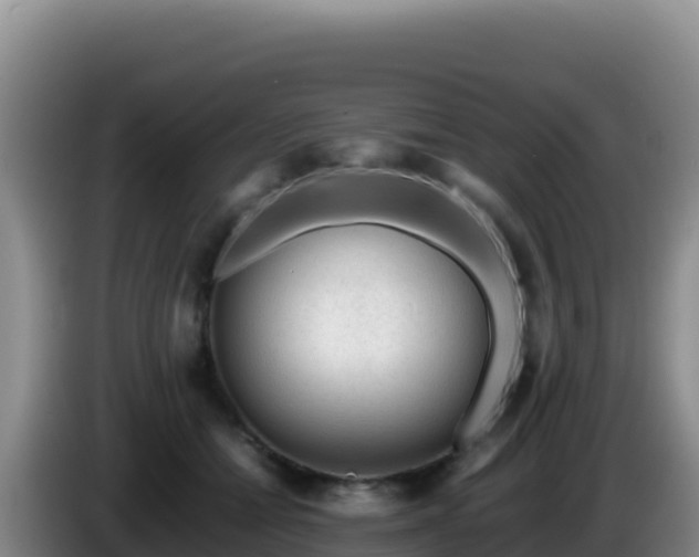 X0000086260558200704051305
