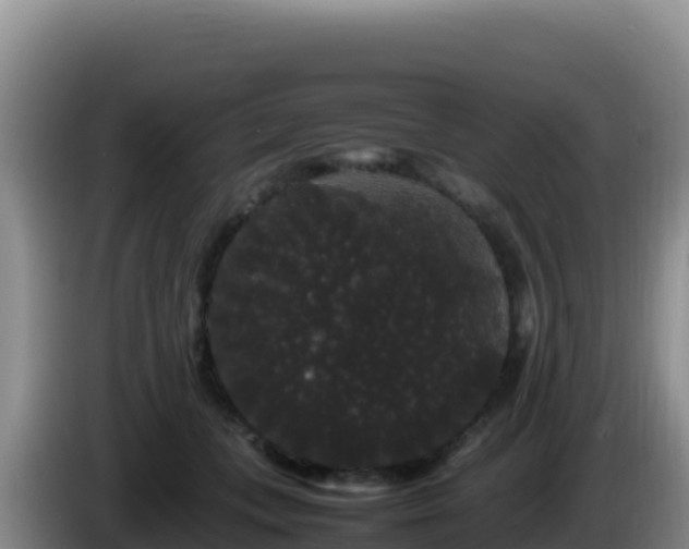 X0000086260559200704051305