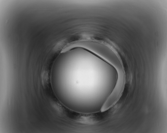 X0000086260560200704051305