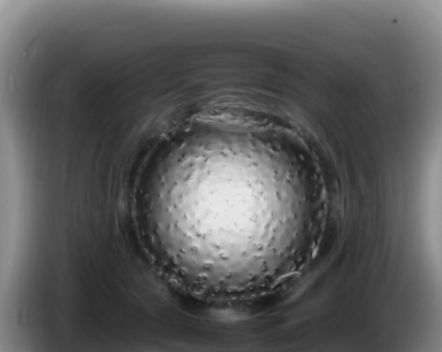 X0000086260561200704051305