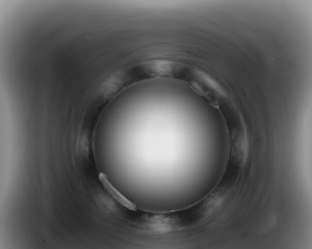 X0000086260562200704051305