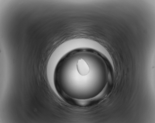 X0000086260566200704051305