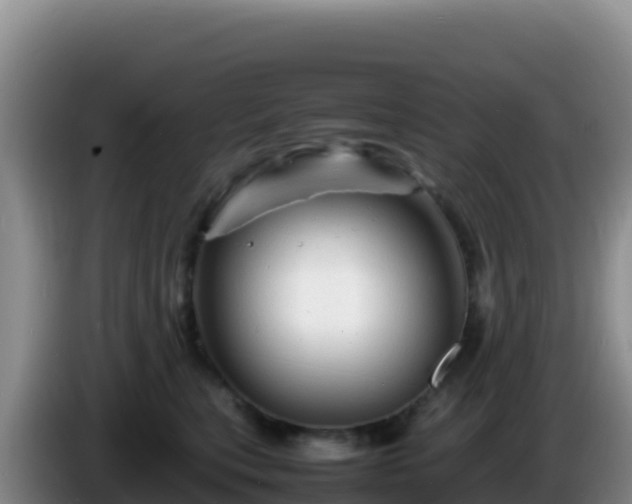 X0000086260567200704051305