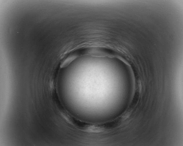 X0000086260568200704051305