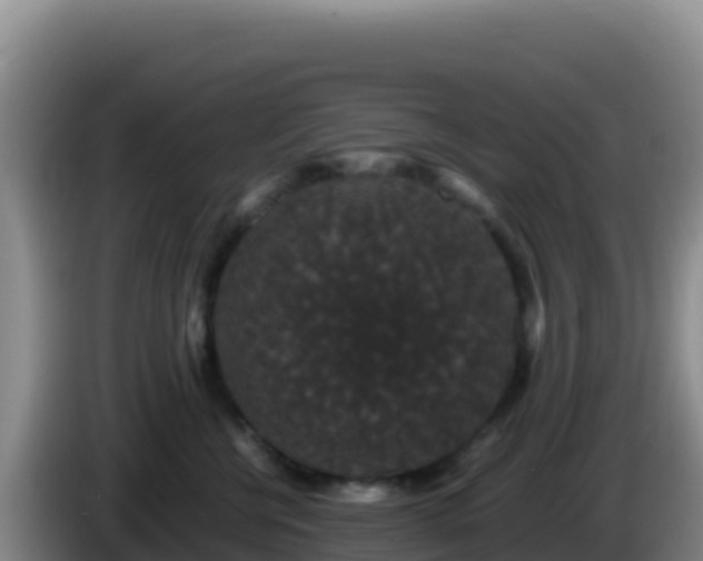 X0000086260570200704051305