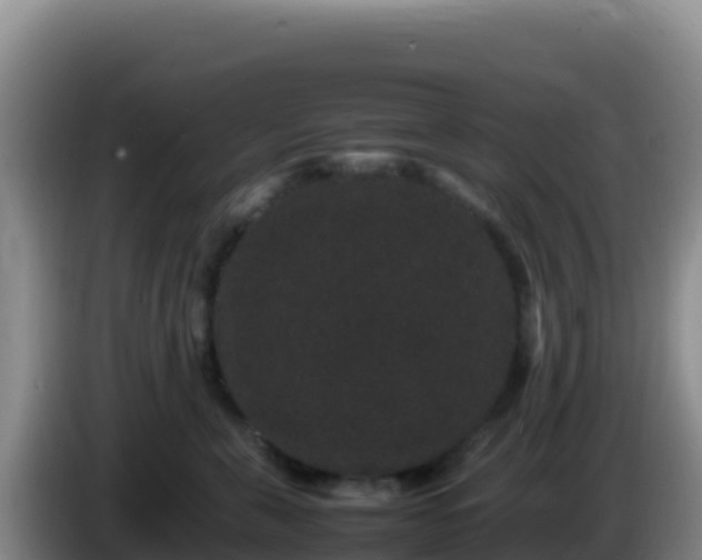 X0000086260571200704051305