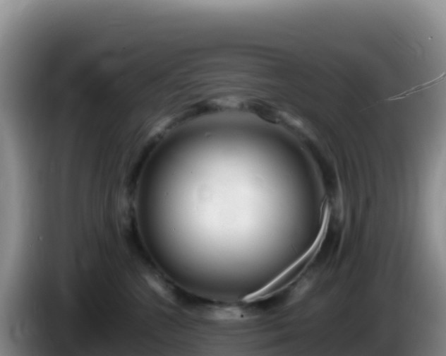X0000086260572200704051305