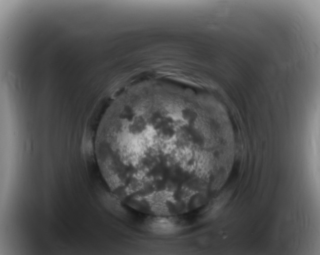 X0000086260573200704051305