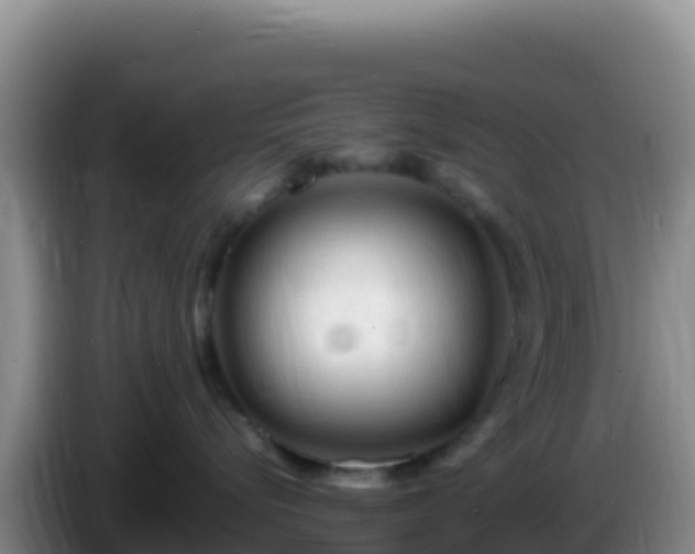 X0000086260576200704051305