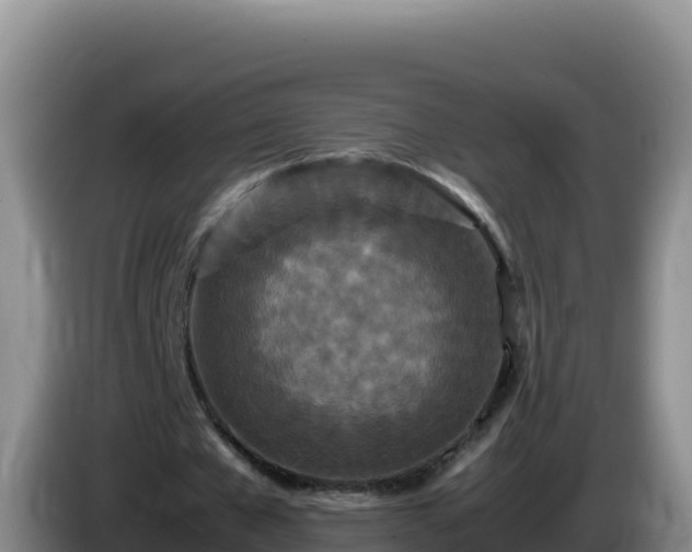 X0000086260577200704051304