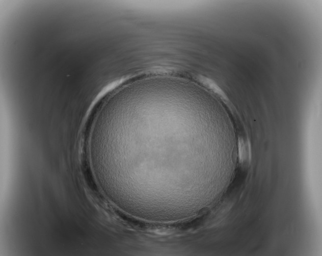X0000086260579200704051304