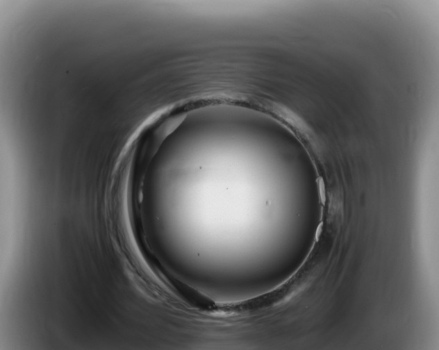 X0000086260580200704051304