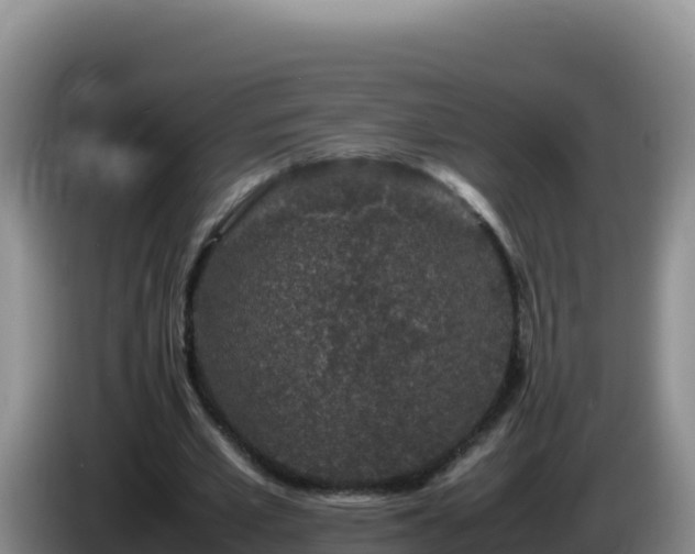 X0000086260581200704051304