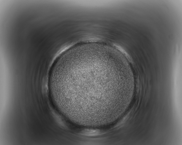 X0000086260582200704051304