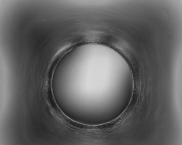X0000086260583200704051304