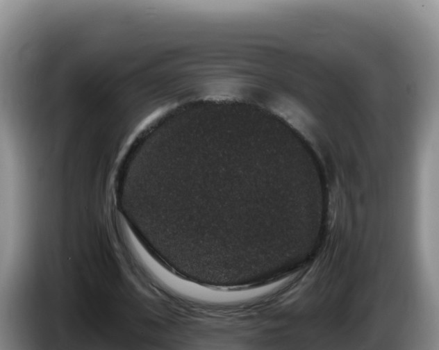 X0000086260584200704051304