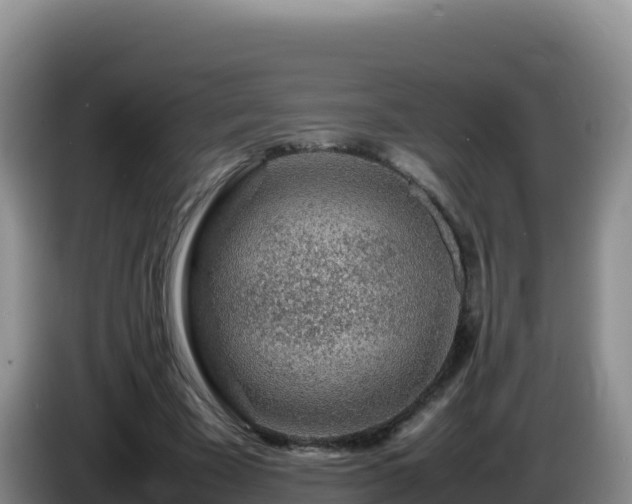 X0000086260585200704051304