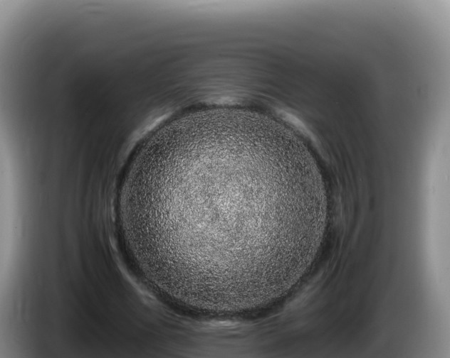 X0000086260586200704051304