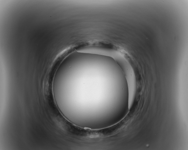 X0000086260587200704051304