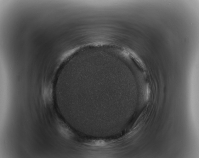 X0000086260588200704051304