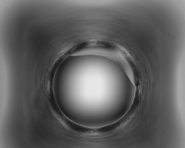 X0000086260589200704051304