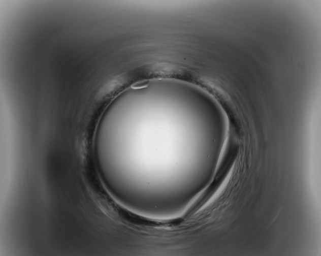 X0000086260591200704051304