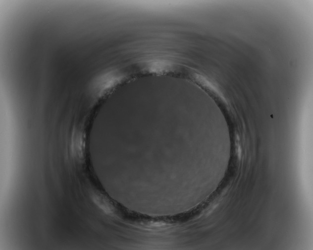 X0000086260592200704051304