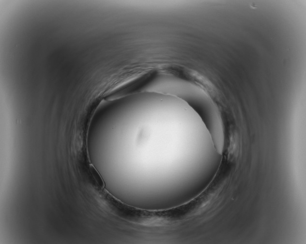 X0000086260593200704051304