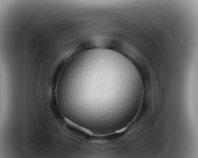X0000086260595200704051304