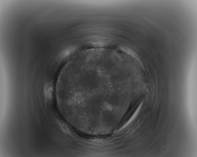 X0000086260596200704051304