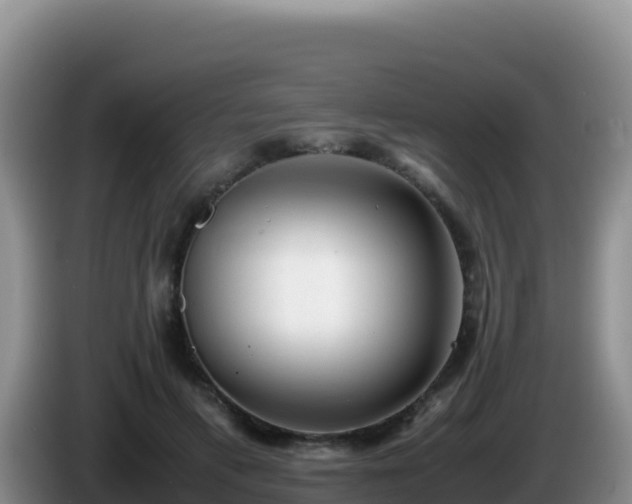X0000086260597200704051304