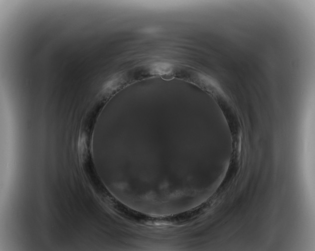 X0000086260598200704051304