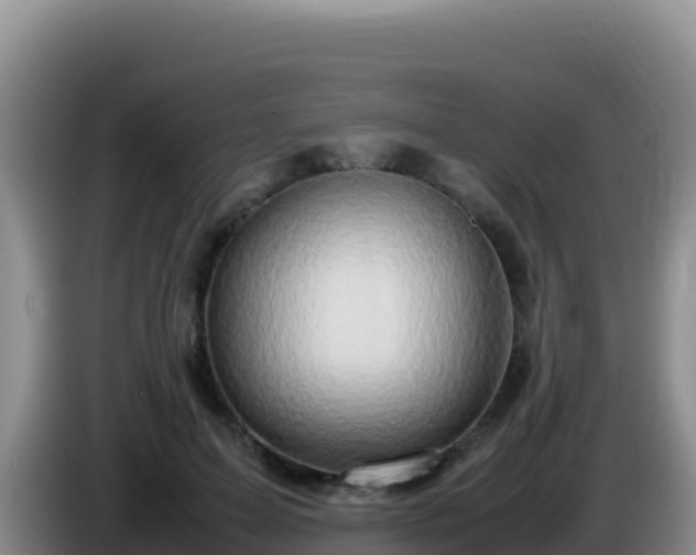 X0000086260599200704051304